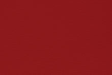 Load image into Gallery viewer, Burgundy Event Carpet