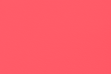 Load image into Gallery viewer, Rose Event Carpet