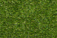 Load image into Gallery viewer, Avocado II
