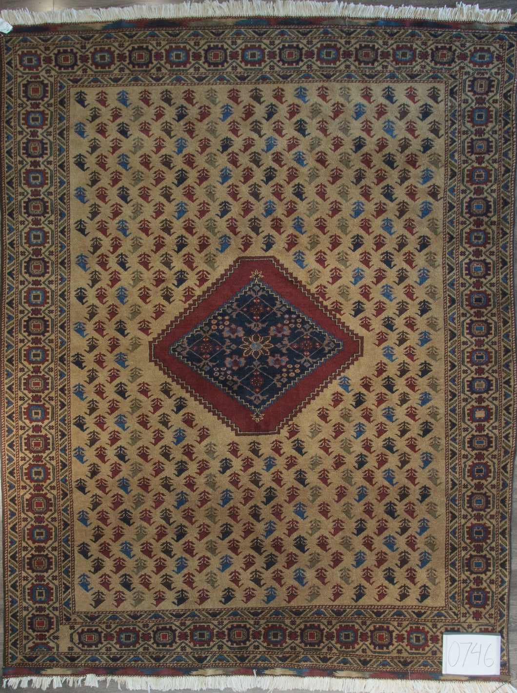 P0746 KHAL MOHAMADI 8'3
