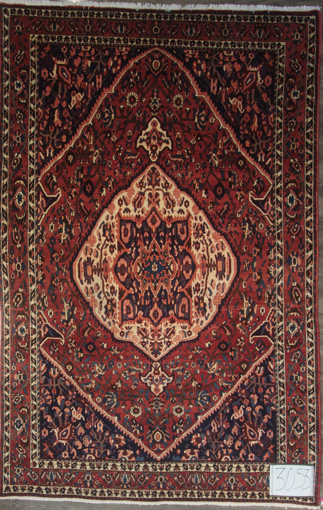 P3053 BAKHTIARI 6'10