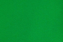Load image into Gallery viewer, Kelly Green Event Carpet
